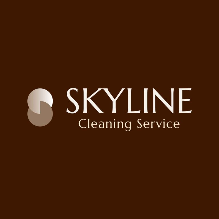 skyline cleaning logo12 768x768