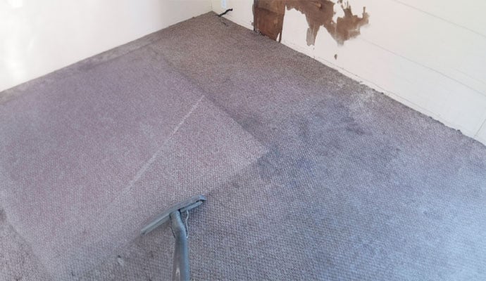 man cleaning carpet with vacuam